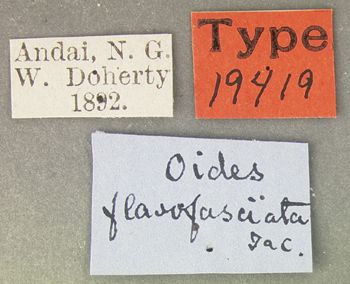 Media type: image; Entomology 19419   Aspect: labels